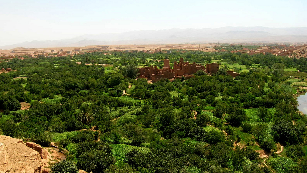  The Heart of Morocco's Rose Valley in Kelaat M'Gouna 