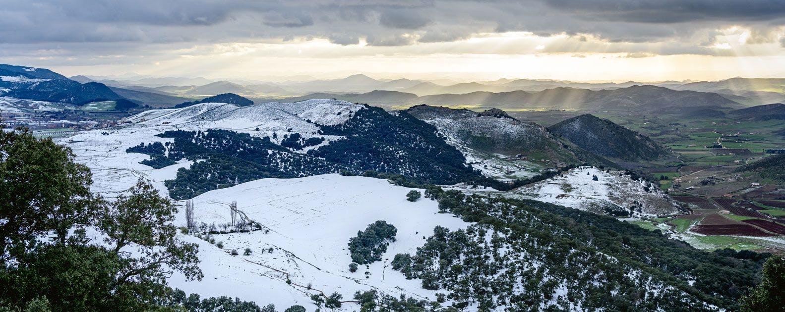 A Traveler's Guide to Ifrane: Morocco's Unique Mountain Retreat.