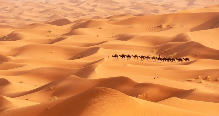 Morocco Sahara Desert Merzouga Ouarzazat
