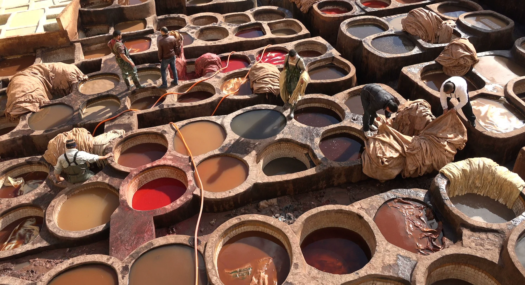 Discover Tannery Fez in Morocco